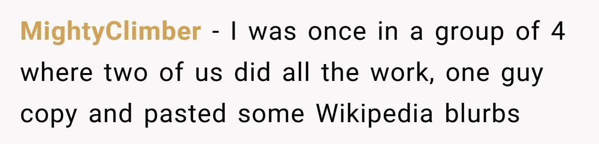 MightyClimber − I was once in a group of 4 where two of us did all the work, one guy copy and pasted some Wikipedia blurbs