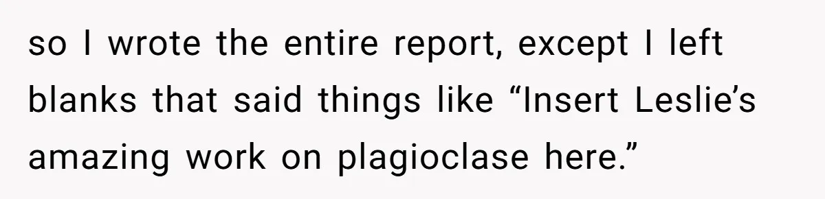 so I wrote the entire report, except I left blanks that said things like “Insert Leslie’s amazing work on plagioclase here.”