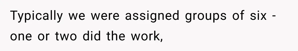 Typically we were assigned groups of six - one or two did the work,