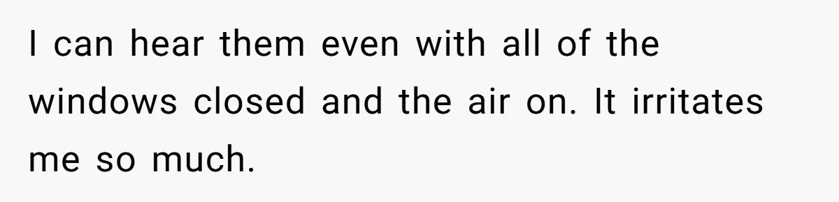 I can hear them even with all of the windows closed and the air on. It irritates me so much.