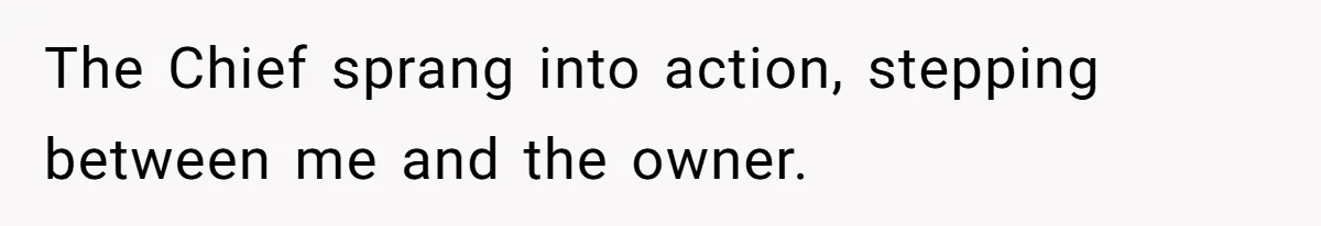 The Chief sprang into action, stepping between me and the owner.