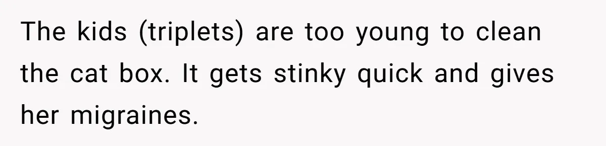 The kids (triplets) are too young to clean the cat box. It gets stinky quick and gives her migraines.