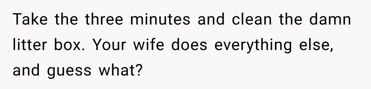 Take the three minutes and clean the damn litter box. Your wife does everything else, and guess what?