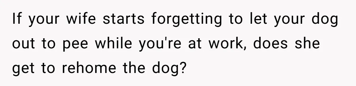 If your wife starts forgetting to let your dog out to pee while you're at work, does she get to rehome the dog?