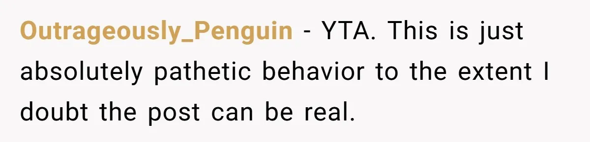 Outrageously_Penguin − YTA. This is just absolutely pathetic behavior to the extent I doubt the post can be real.