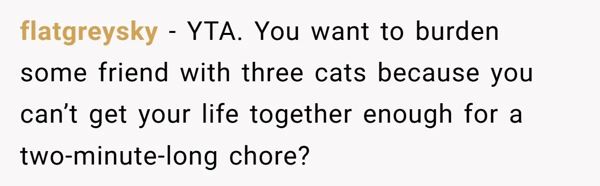flatgreysky − YTA. You want to burden some friend with three cats because you can’t get your life together enough for a two-minute-long chore?