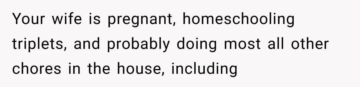 Your wife is pregnant, homeschooling triplets, and probably doing most all other chores in the house, including
