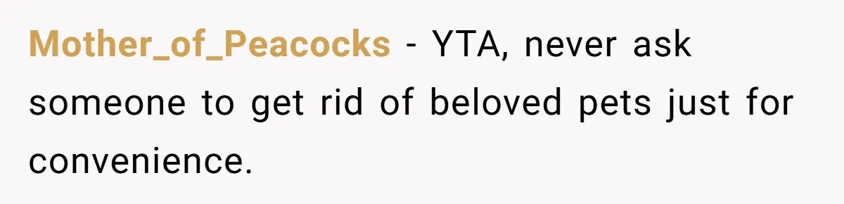 Mother_of_Peacocks − YTA, never ask someone to get rid of beloved pets just for convenience.