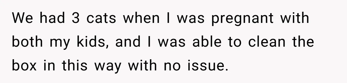 We had 3 cats when I was pregnant with both my kids, and I was able to clean the box in this way with no issue.