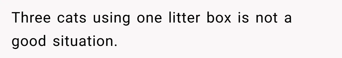 Three cats using one litter box is not a good situation.