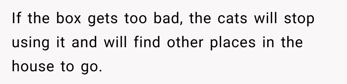 If the box gets too bad, the cats will stop using it and will find other places in the house to go.