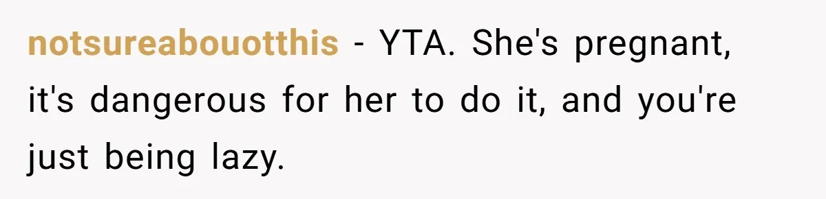 notsureabouotthis − YTA. She's pregnant, it's dangerous for her to do it, and you're just being lazy.