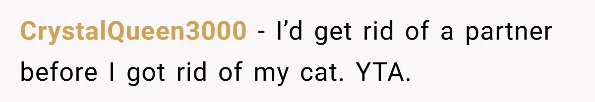 CrystalQueen3000 − I’d get rid of a partner before I got rid of my cat. YTA.
