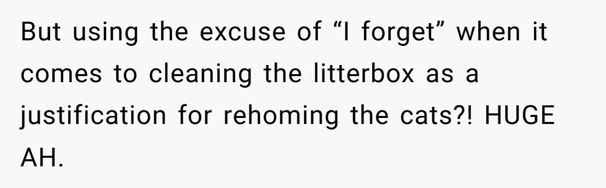 But using the excuse of “I forget” when it comes to cleaning the litterbox as a justification for rehoming the cats?! HUGE AH.