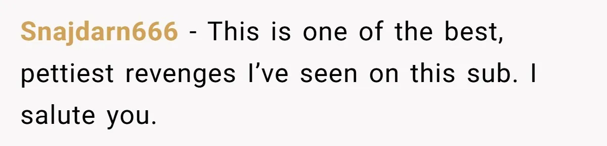 Snajdarn666 − This is one of the best, pettiest revenges I’ve seen on this sub. I salute you.