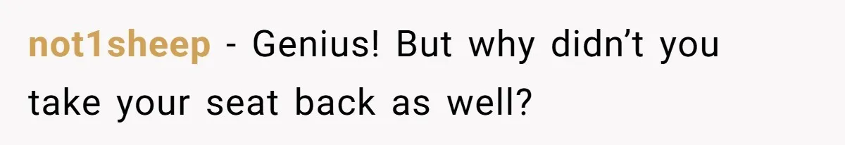 not1sheep − Genius! But why didn’t you take your seat back as well?