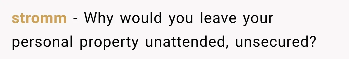 stromm − Why would you leave your personal property unattended, unsecured?