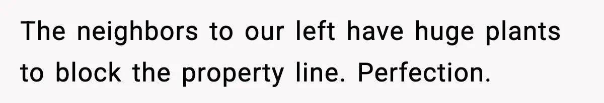 The neighbors to our left have huge plants to block the property line. Perfection.