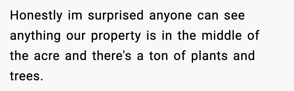 Honestly im surprised anyone can see anything our property is in the middle of the acre and there's a ton of plants and trees.