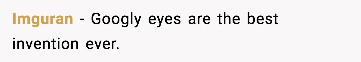 Imguran - Googly eyes are the best invention ever.