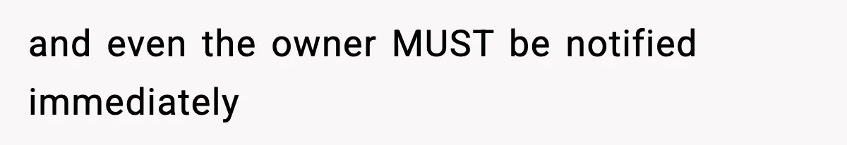VP Forces One-Man IT Department To Wear Suit And Tie, Accidentally Risks The Whole Company and even the owner MUST be notified immediately