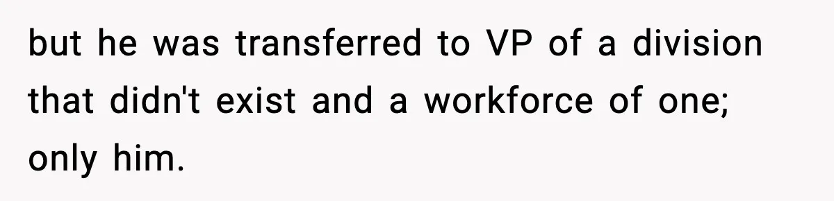 VP Forces One-Man IT Department To Wear Suit And Tie, Accidentally Risks The Whole Company but he was transferred to VP of a division that didn't exist and a workforce of one; only him.