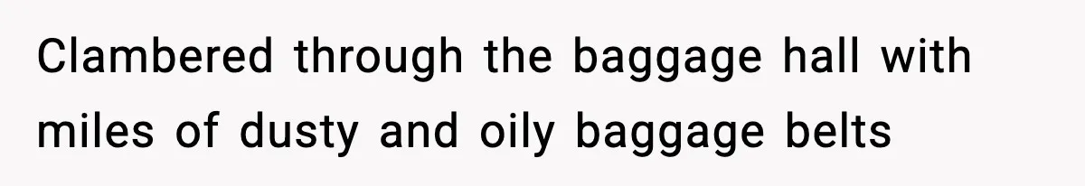 VP Forces One-Man IT Department To Wear Suit And Tie, Accidentally Risks The Whole Company Clambered through the baggage hall with miles of dusty and oily baggage belts