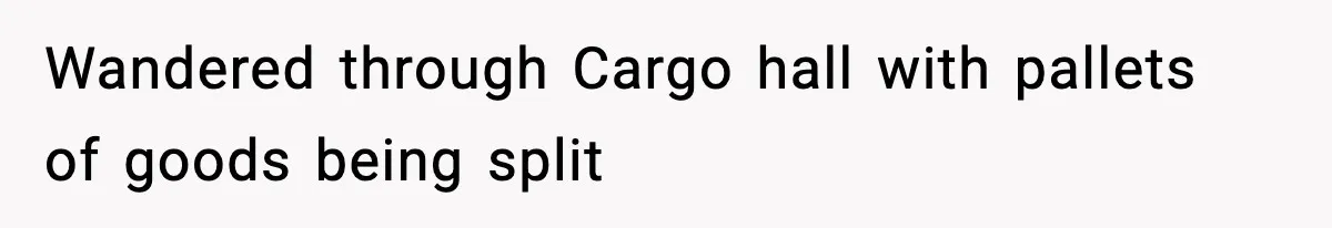 VP Forces One-Man IT Department To Wear Suit And Tie, Accidentally Risks The Whole Company Wandered through Cargo hall with pallets of goods being split