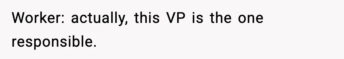 VP Forces One-Man IT Department To Wear Suit And Tie, Accidentally Risks The Whole Company Worker: actually, this VP is the one responsible.