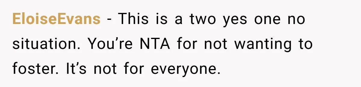 EloiseEvans − This is a two yes one no situation. You’re NTA for not wanting to foster. It’s not for everyone.