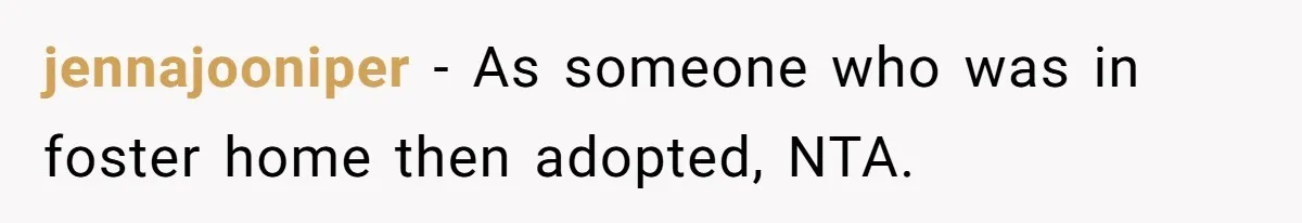jennajooniper − As someone who was in foster home then adopted, NTA.