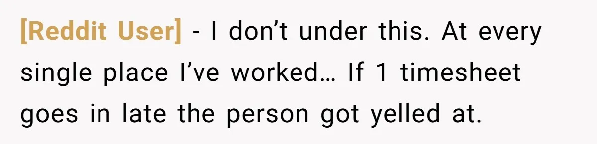 [Reddit User] − I don’t under this. At every single place I’ve worked… If 1 timesheet goes in late the person got yelled at.