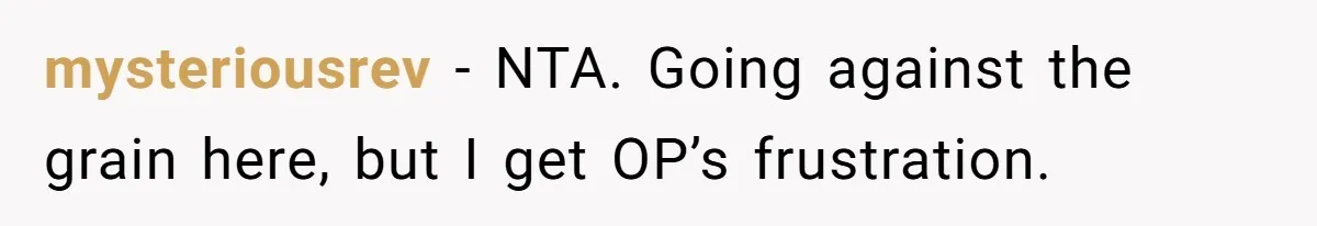 mysteriousrev − NTA. Going against the grain here, but I get OP’s frustration.