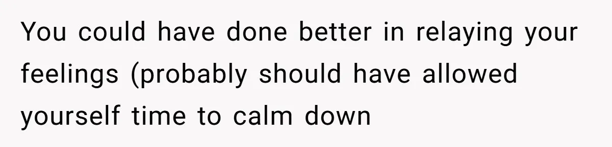 You could have done better in relaying your feelings (probably should have allowed yourself time to calm down
