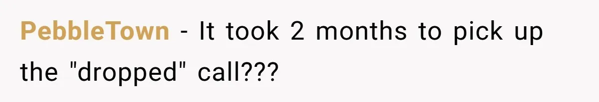 PebbleTown − It took 2 months to pick up the "dropped" call???