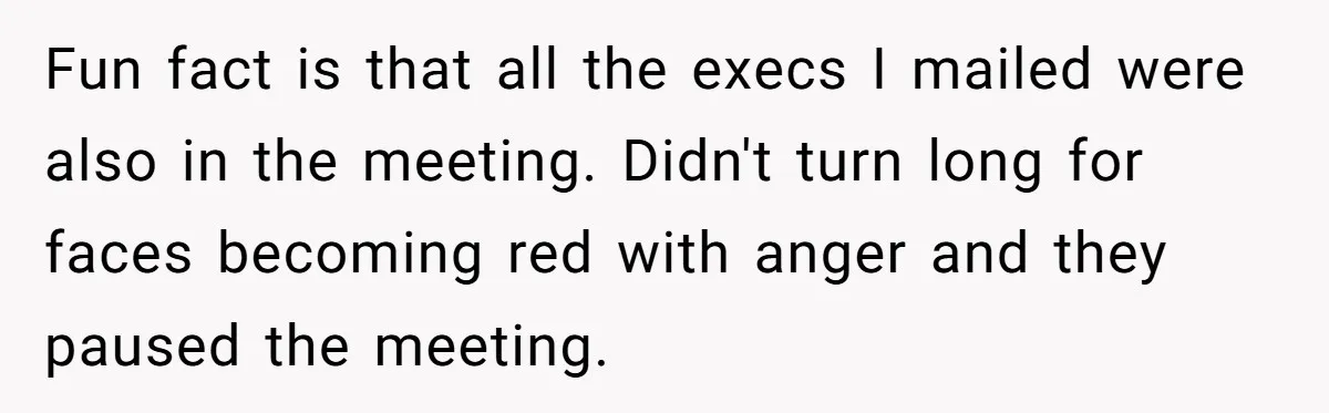 Fun fact is that all the execs I mailed were also in the meeting. Didn't turn long for faces becoming red with anger and they paused the meeting.