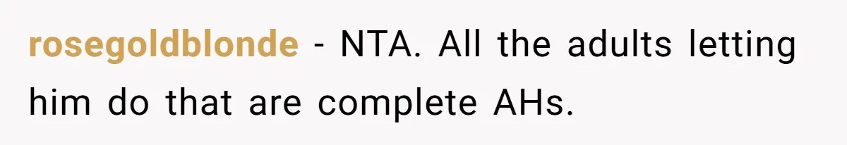 rosegoldblonde − NTA. All the adults letting him do that are complete AHs.