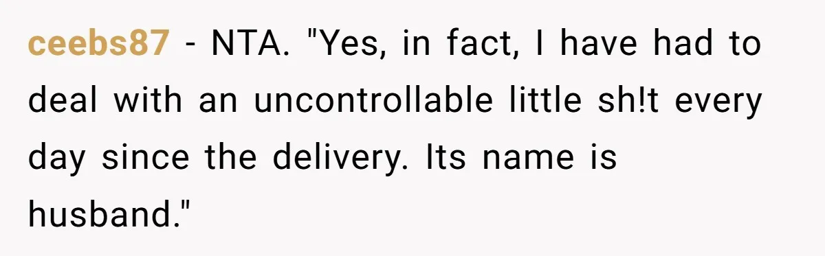 ceebs87 − NTA. "Yes, in fact, I have had to deal with an uncontrollable little sh!t every day since the delivery. Its name is husband."