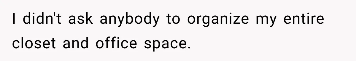 I didn't ask anybody to organize my entire closet and office space.