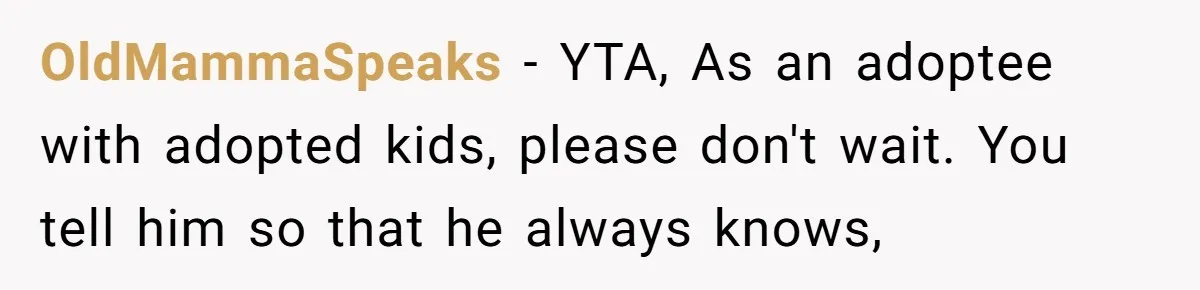OldMammaSpeaks − YTA, As an adoptee with adopted kids, please don't wait. You tell him so that he always knows,