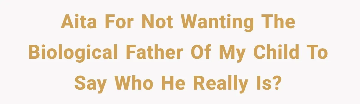 AITA For Not Wanting The Biological Father Of My Child To Say Who He Really Is?