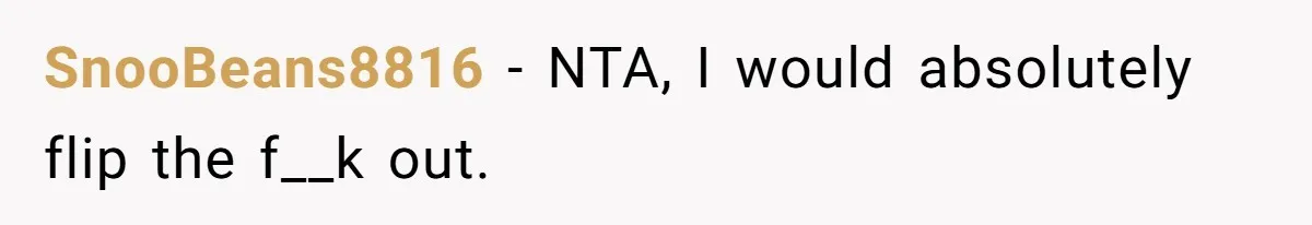 SnooBeans8816 − NTA, I would absolutely flip the f__k out.