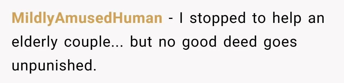 MildlyAmusedHuman − I stopped to help an elderly couple... but no good deed goes unpunished.