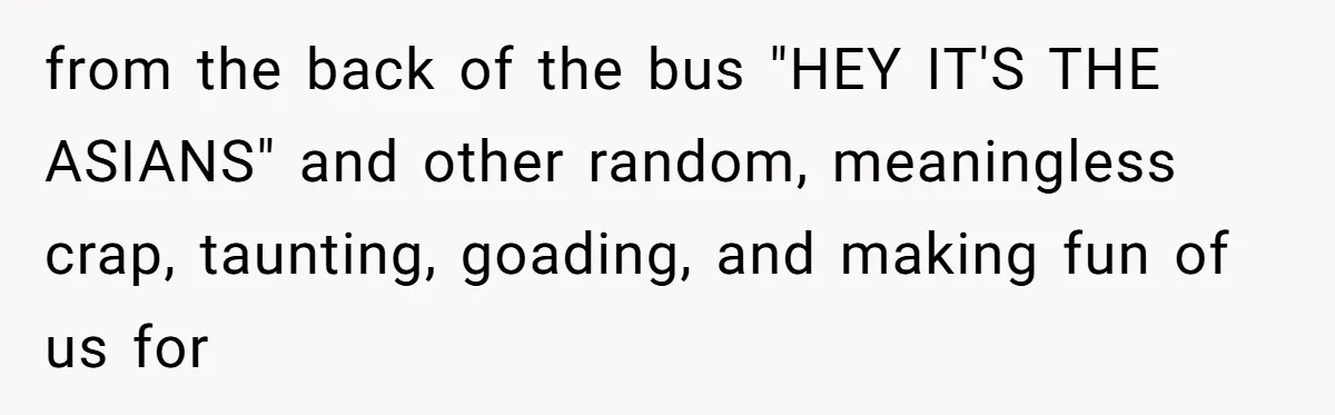 from the back of the bus "HEY IT'S THE ASIANS" and other random, meaningless crap, taunting, goading, and making fun of us for