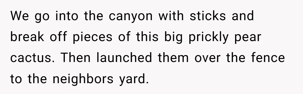 From Sidewalk Junk to Yard Gold: How One Neighbor Finally Won the Long-Running Toy War We go into the canyon with sticks and break off pieces of this big prickly pear cactus. Then launched them over the fence to the neighbors yard.