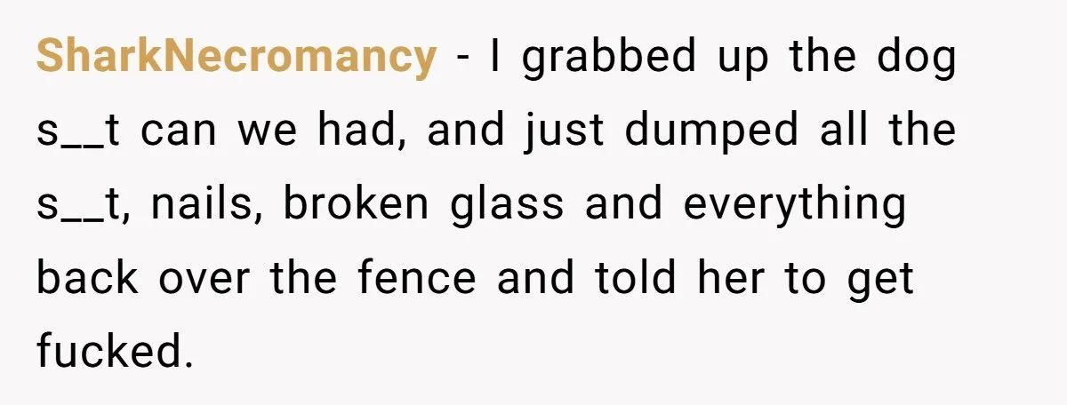 From Sidewalk Junk to Yard Gold: How One Neighbor Finally Won the Long-Running Toy War SharkNecromancy − I grabbed up the dog s__t can we had, and just dumped all the s__t, nails, broken glass and everything back over the fence and told her to...