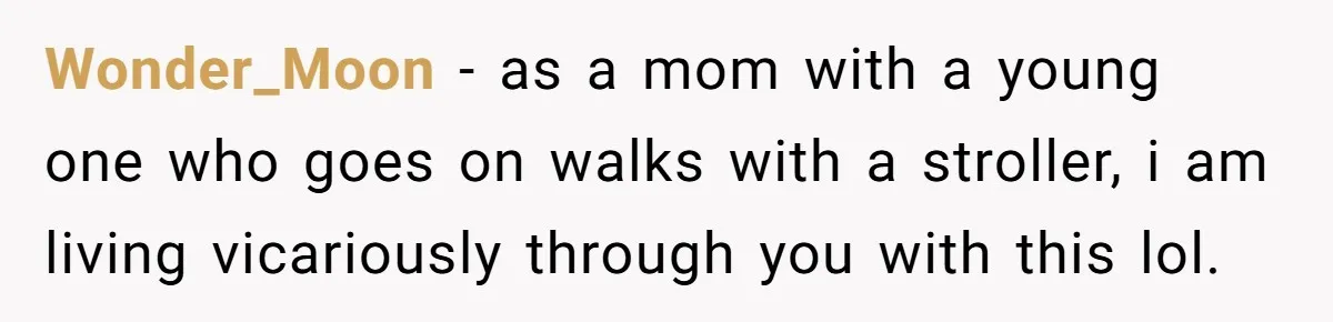 From Sidewalk Junk to Yard Gold: How One Neighbor Finally Won the Long-Running Toy War Wonder_Moon − as a mom with a young one who goes on walks with a stroller, i am living vicariously through you with this lol.