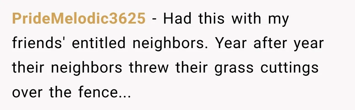 From Sidewalk Junk to Yard Gold: How One Neighbor Finally Won the Long-Running Toy War PrideMelodic3625 − Had this with my friends' entitled neighbors. Year after year their neighbors threw their grass cuttings over the fence...