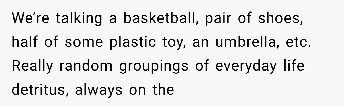 From Sidewalk Junk to Yard Gold: How One Neighbor Finally Won the Long-Running Toy War We’re talking a basketball, pair of shoes, half of some plastic toy, an umbrella, etc. Really random groupings of everyday life detritus, always on the