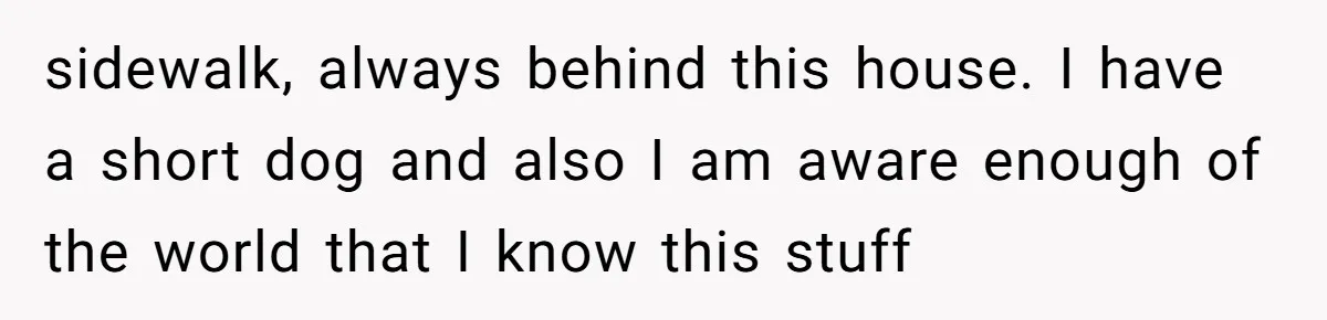 From Sidewalk Junk to Yard Gold: How One Neighbor Finally Won the Long-Running Toy War sidewalk, always behind this house. I have a short dog and also I am aware enough of the world that I know this stuff